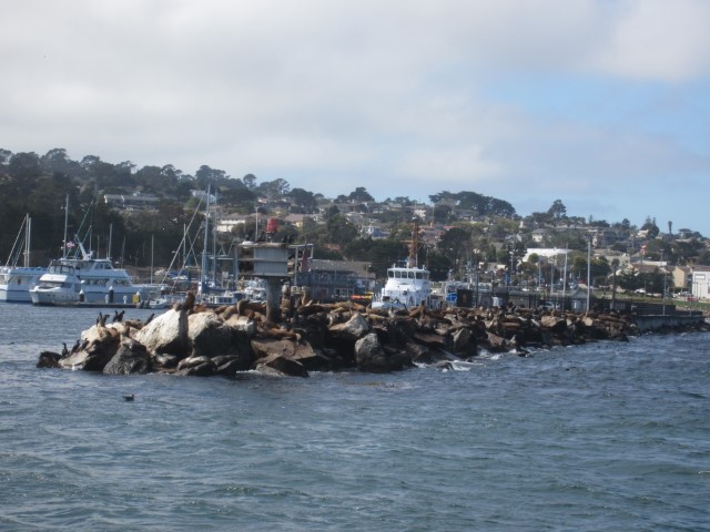 IMG_3337.JPG